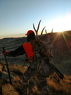 Deer Shoulder Mounts