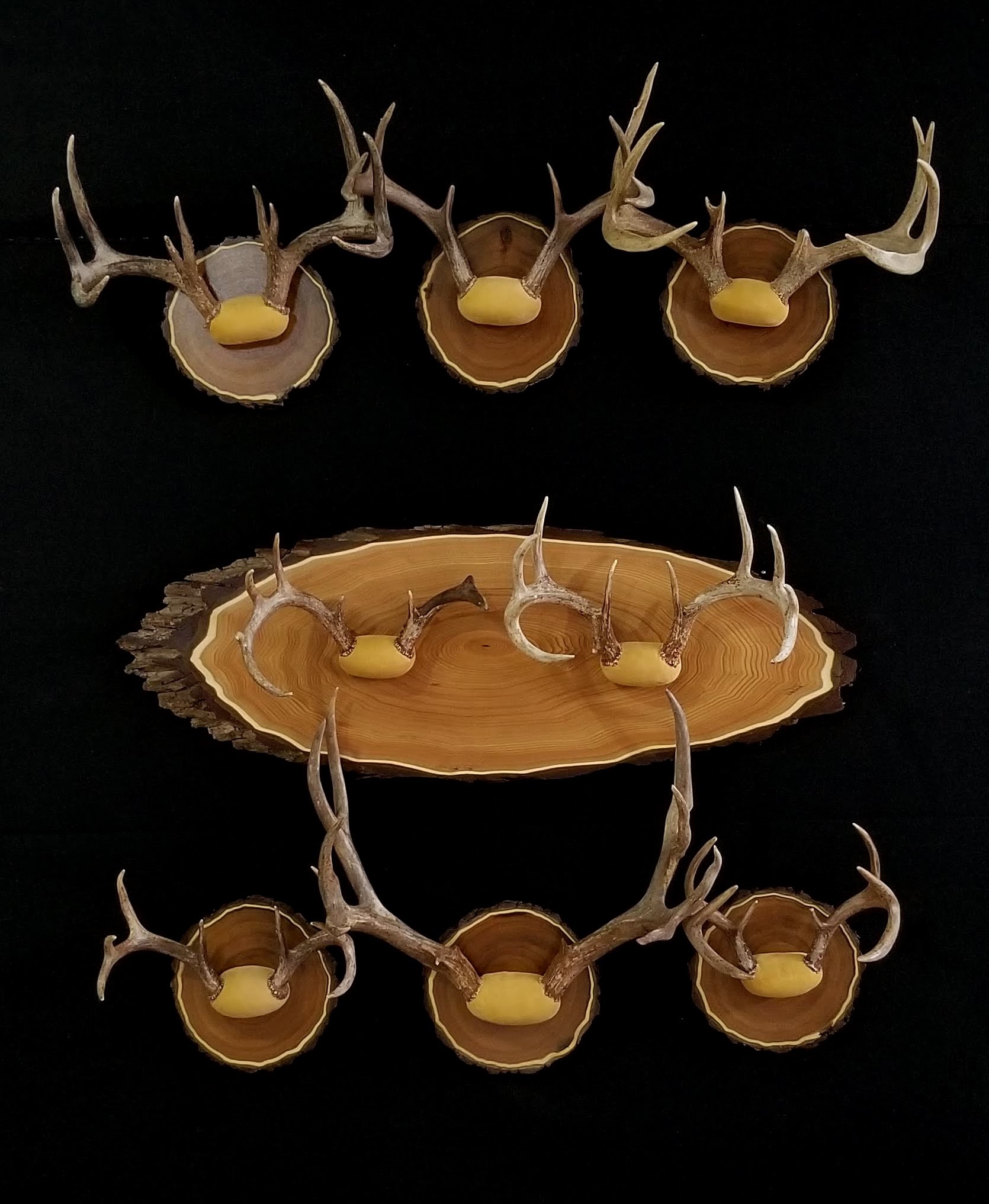 Antler Mounts
