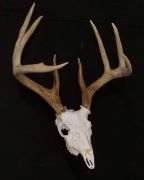 Display Option - 45 Angle Plaque