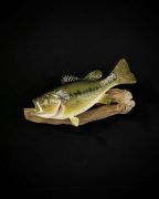 Pro Series Largemouth