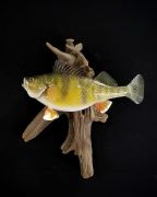 Pro Series Perch Mount