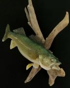 Winnepig Walleye - Painted to Pop!