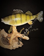 Pedestal Swimming Perch