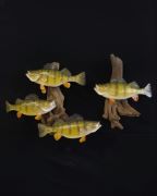 Perch - Pro Series