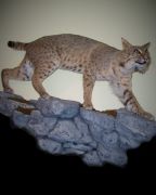 Full Body Bobcat - Rock Base