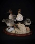 4 Drake Green-Wing Teal - Rock Habitat