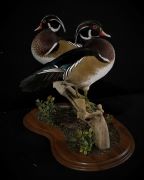 Wooducks - Walnut Base