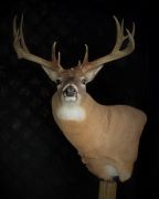 6900 Series Pedestal